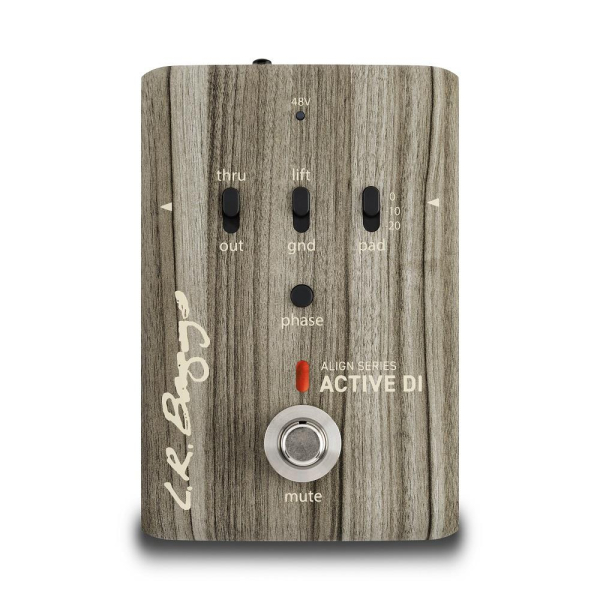 L.R.Baggs Align Active DI showroom model